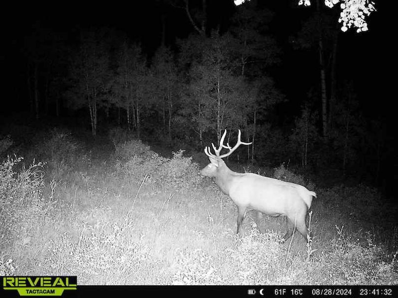 Copy of 864049052055672-60-4-08282024234132-HD-W1000270 (2)