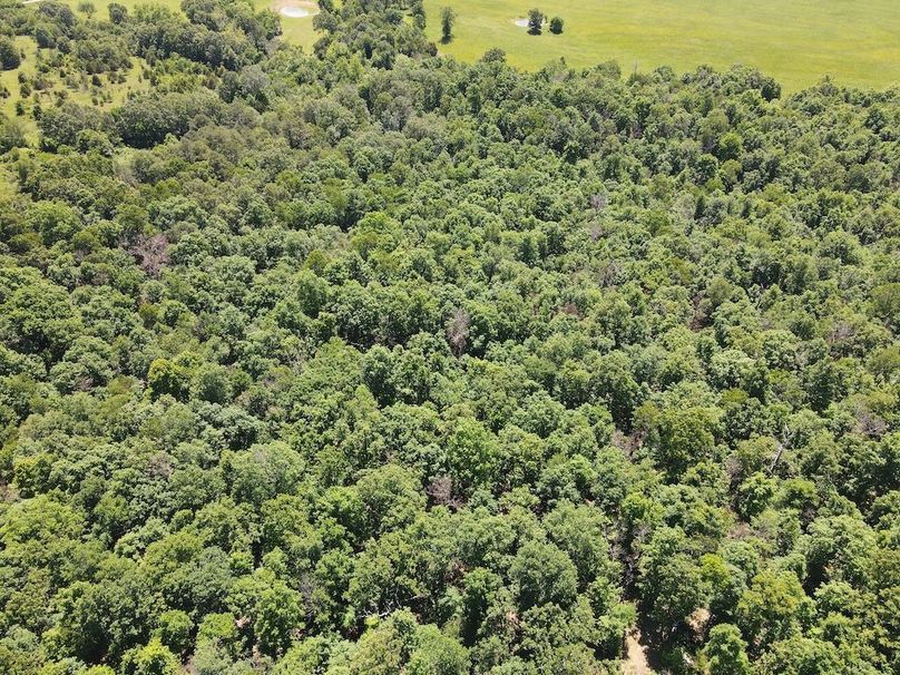 dji_fly_20260507_122506_745_1778174718468_photo