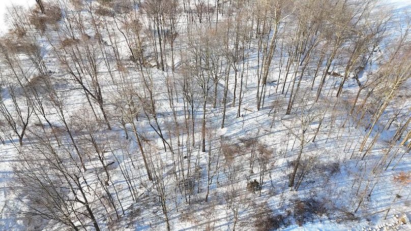 DJI_20260209103945_0070_D