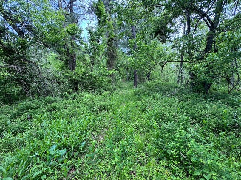 Pleasants, WV 168.59 AC Superior, Swank, Young-075