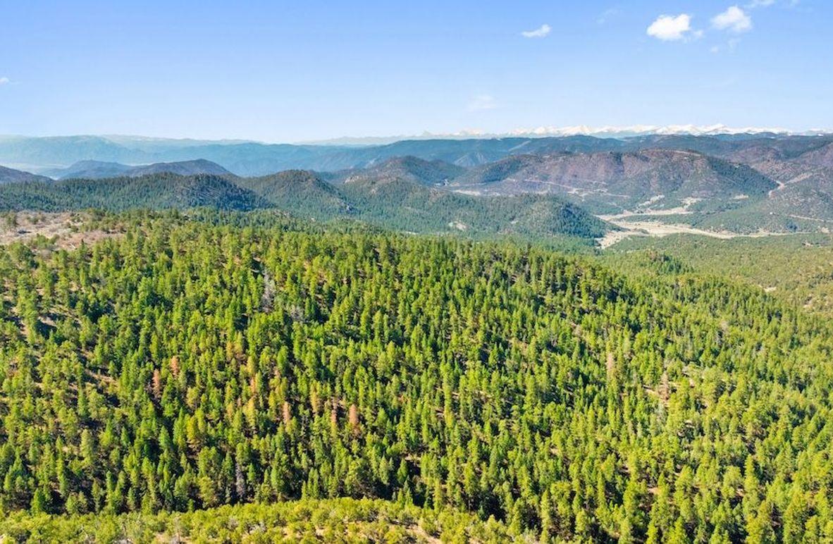 DJI_20250510110844_0526_D