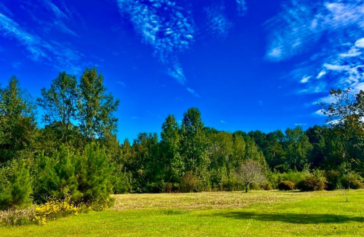 0F1D9E36-269C-4A1A-88DD-5B7BD81CC658_1_105_c