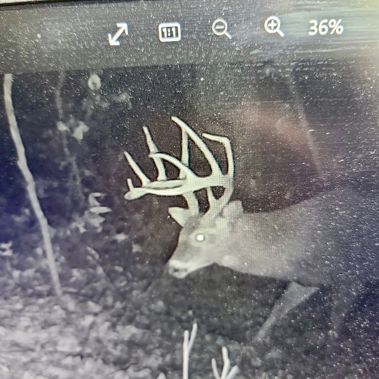 Resized_31036177041540