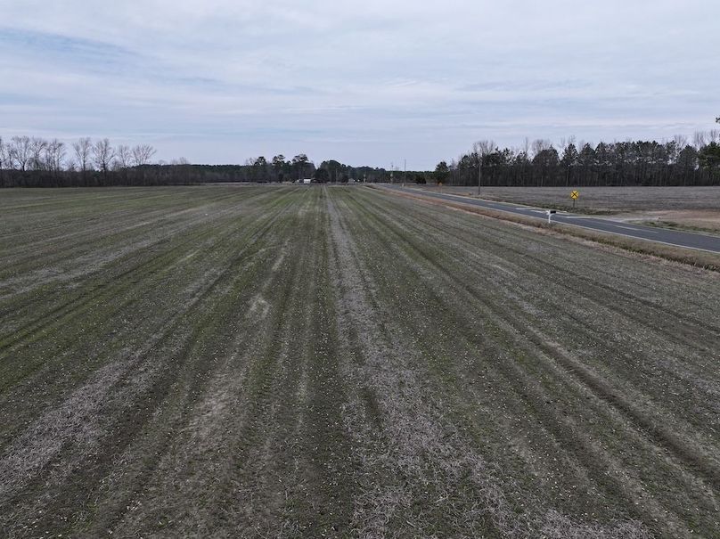 DJI_20260213134433_0513_D