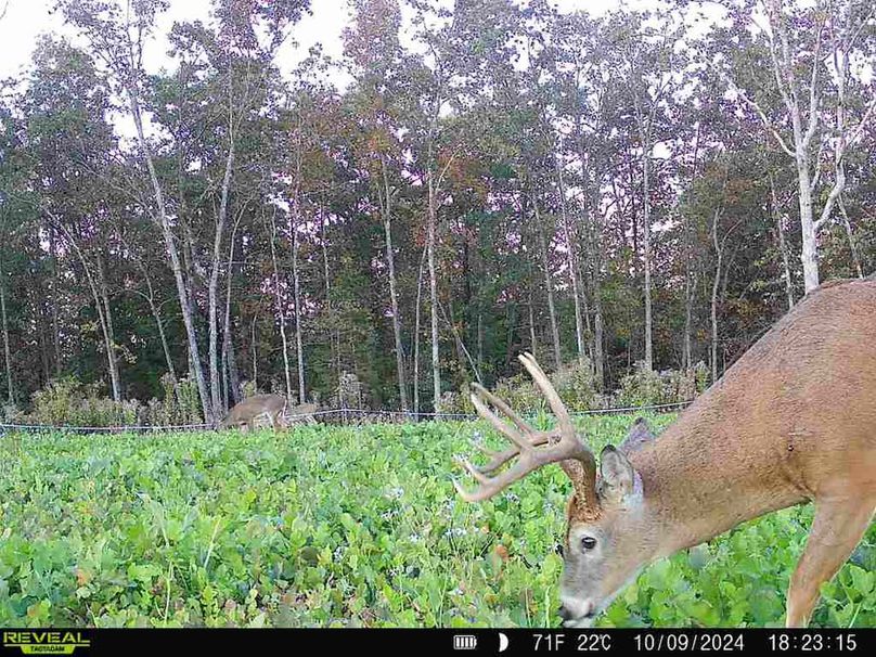 860516063879260-100-4-10092024182314-V-W1003871