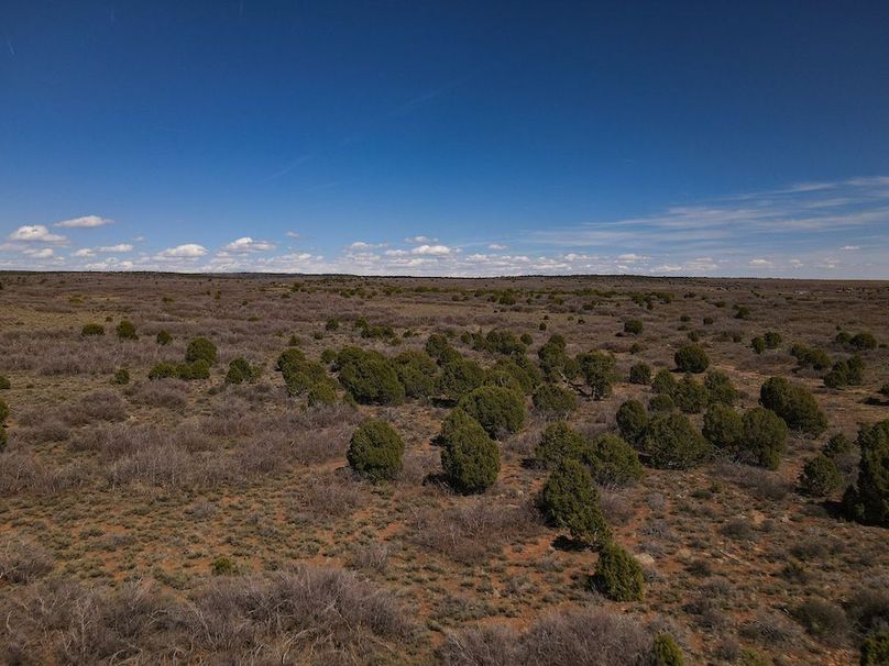 DJI_0021