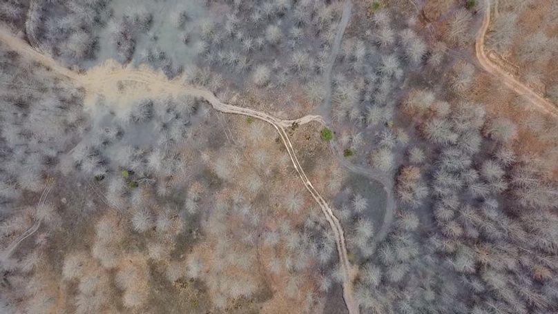 2024-02-29-15-48-54-793