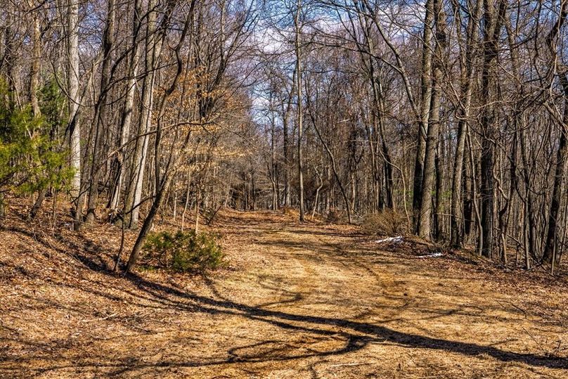 23-web-or-mls-IMG-23