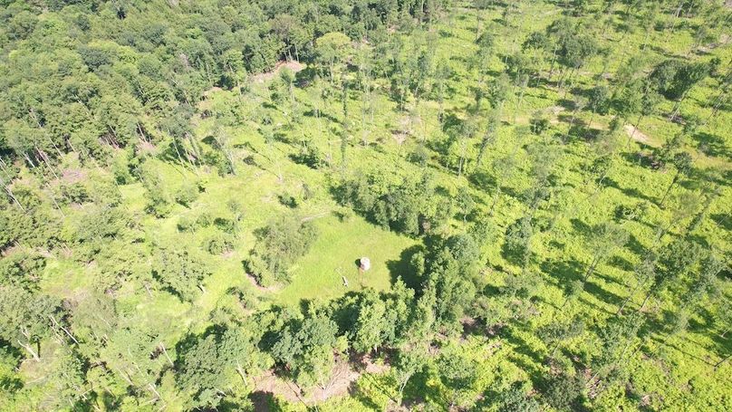 dji_fly_20250624_104414_368_1750776484031_photo