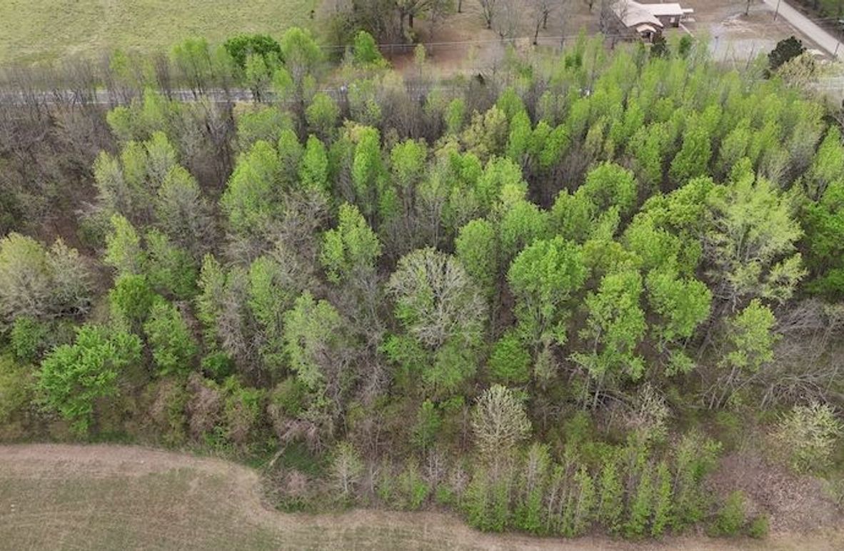 DJI_20260402002742_0185_D