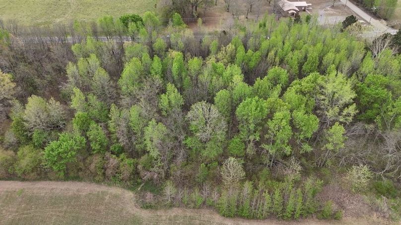 DJI_20260402002742_0185_D