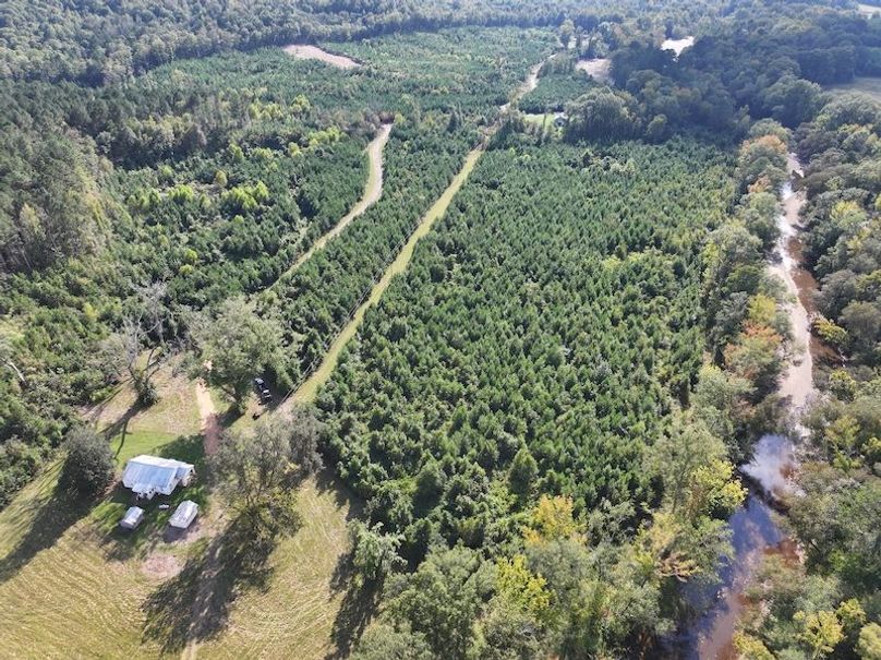 dji_fly_20251001_162112_0660_1759492676156_photo