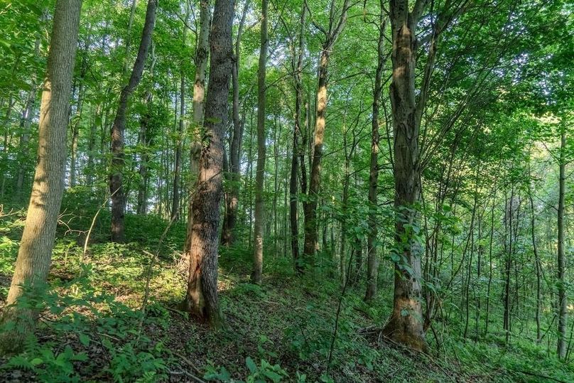 Listing 4-34