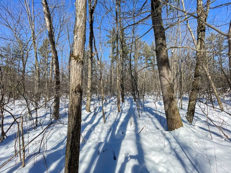 Portage 13.596, Van Asten-28