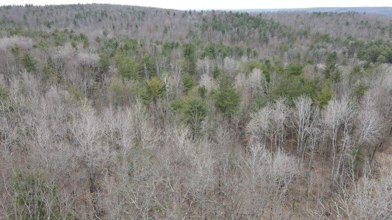 21 dji_fly_20250325_113046_949_1742916679470_photo
