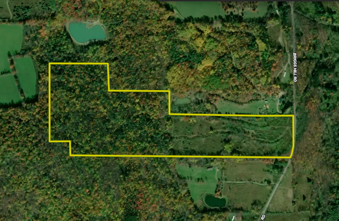 Chemung_59.65_Kocsis_Landid_2