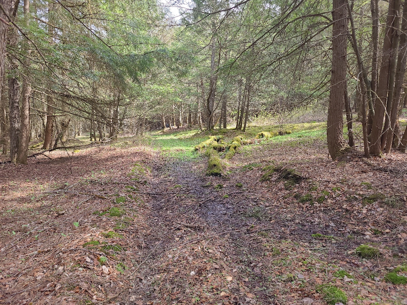 photo_17c1e427-54af-4b08-93c1-c9ccb537a76e