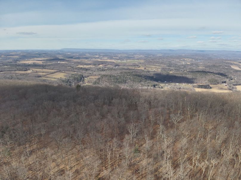 DJI_20231124123807_0010_V