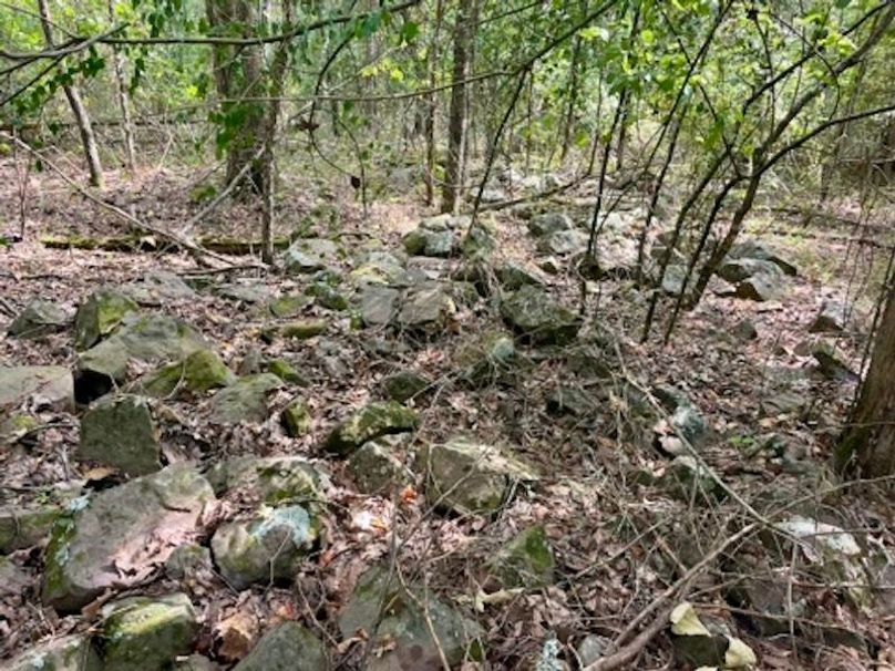 FAF96433-72E5-43D3-9B4A-644715D43F0F_4_5005_c