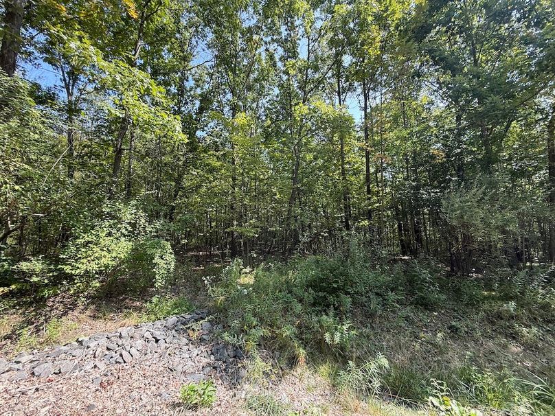 Chemung_20.82_Meyers Photo 30