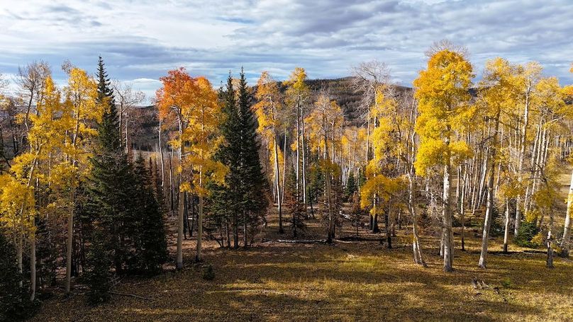 DJI_20250927094610_0240_D