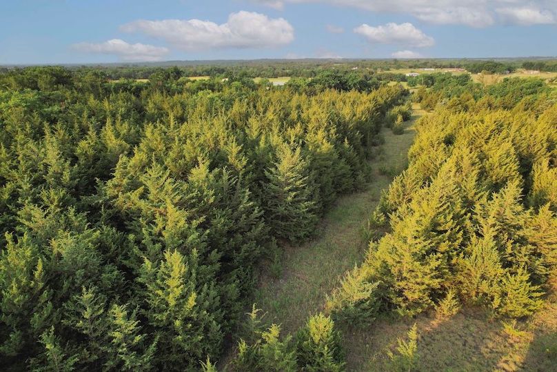 Lamar County- 92.66 Acres (24 of 29)