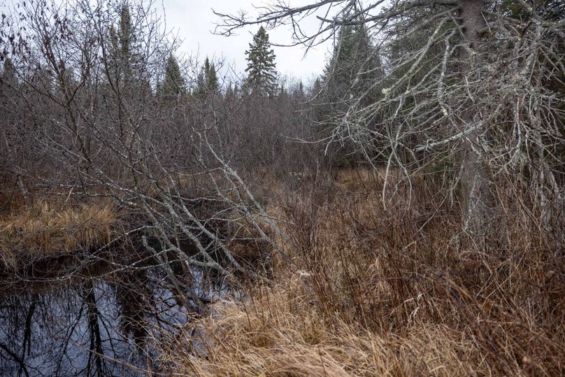 Mackinac 31.5 Noteboom-1657