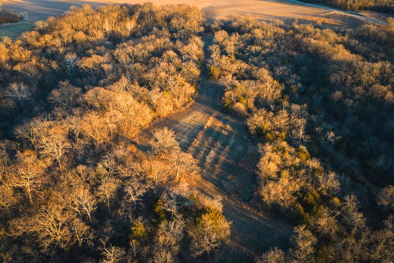 DJI_20260121163844_0461_D