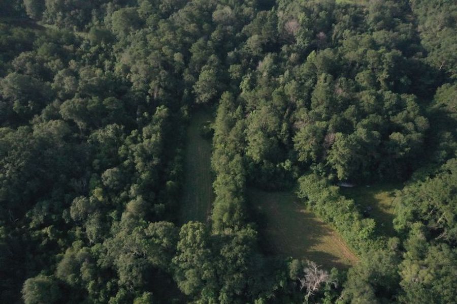 DJI_0614