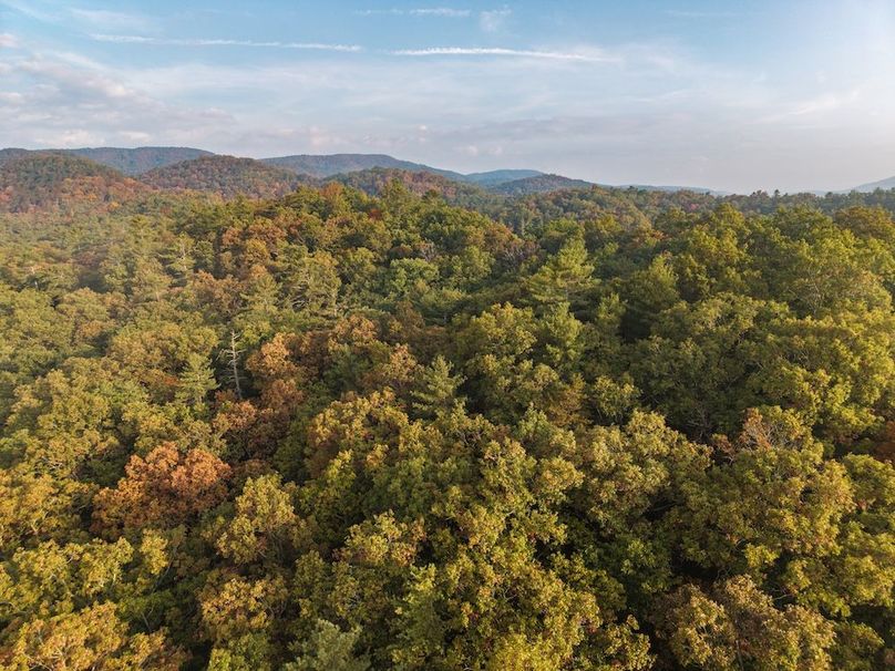 Copy of DJI_20250922083818_0036_D