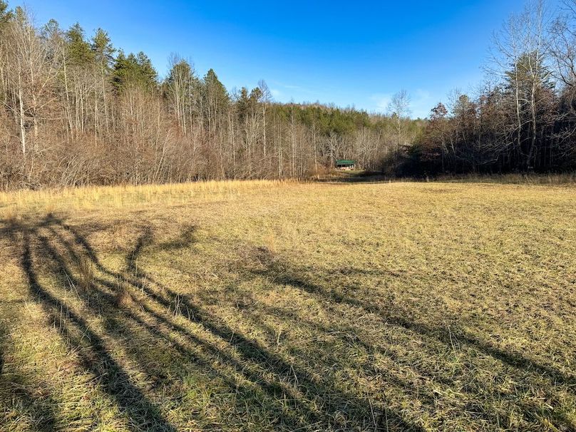 043 view from the feeder to the cabin