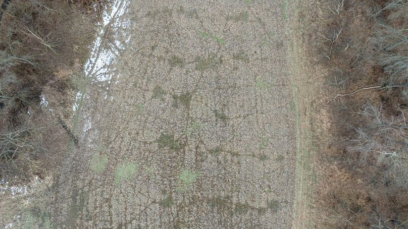 DJI_20260212074731_0016_D