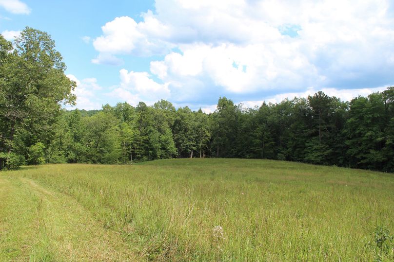 010 some of the open field areas in the eastern portion of the property