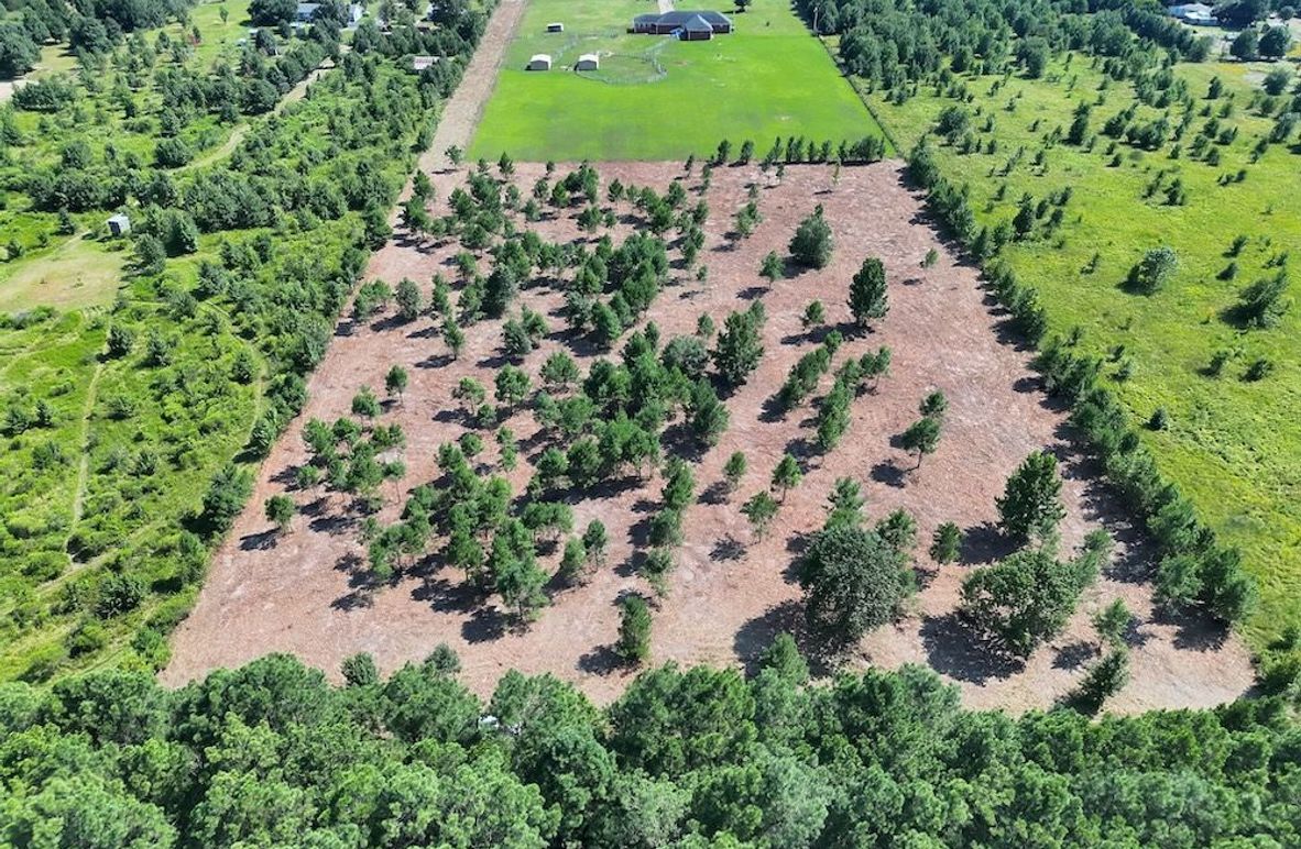 Lonoke Co 5_20250807_0003