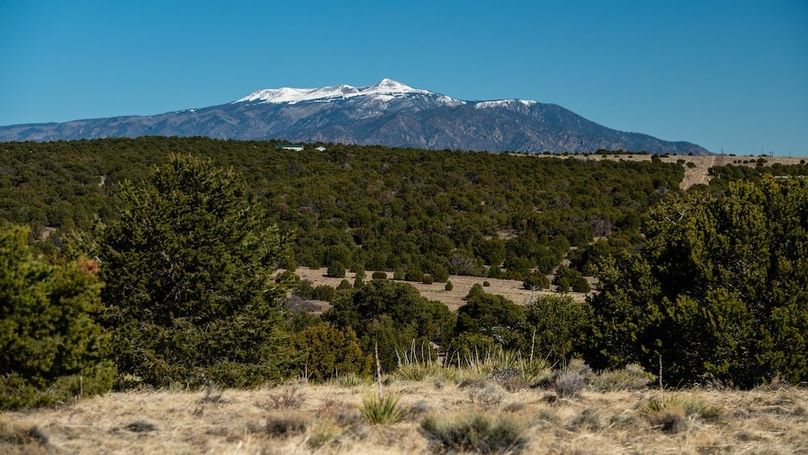 015 - Greenhorn Mountain