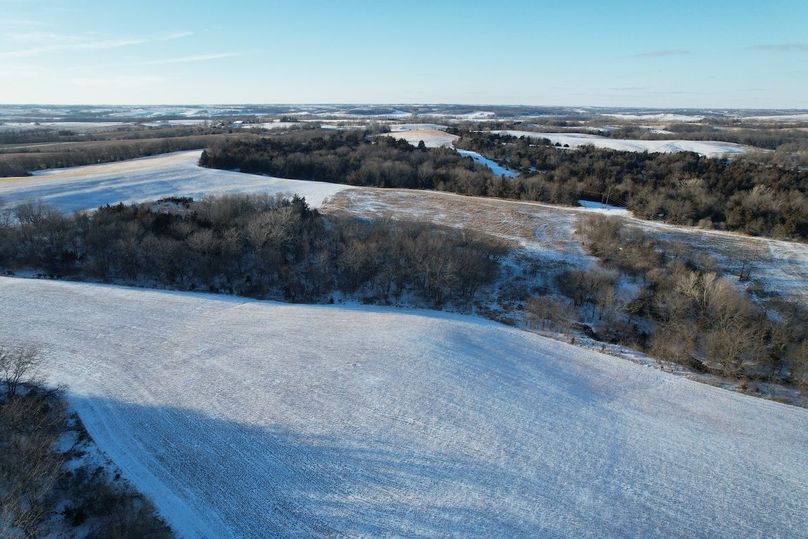 DJI_0456
