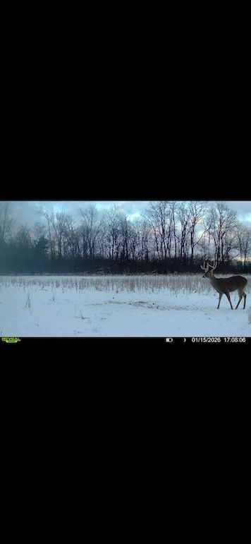 Screenshot 2026-02-27 at 3.58.21 PM