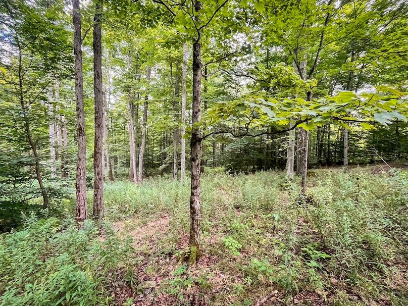 Tioga_59.597_Barnes_Photos_12