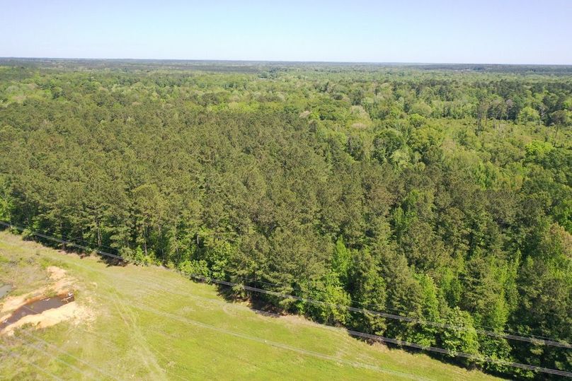 B04D2324-7065-4940-A930-8BC643615656_1_105_c