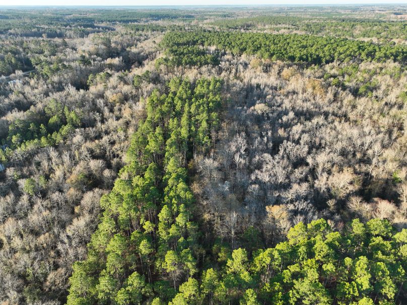 dji_fly_20231229_082854_992_1703856611155_photo