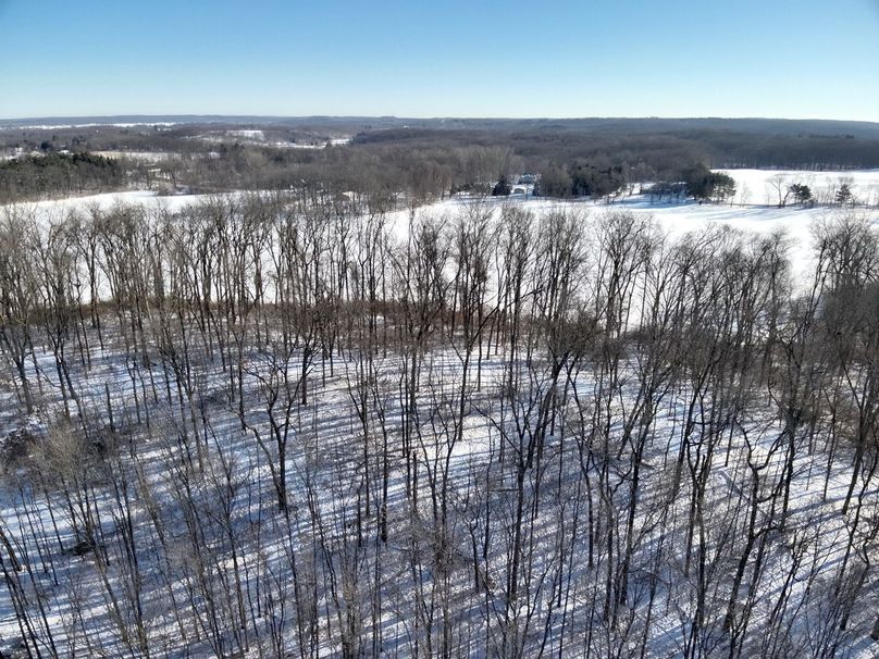 Copy of Tract 1 & 3 Mature timber Large