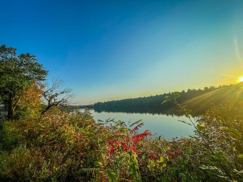 Wood 0.32, Ponce -50