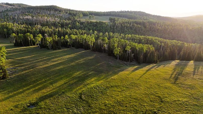 DJI_20250628065237_0177_D