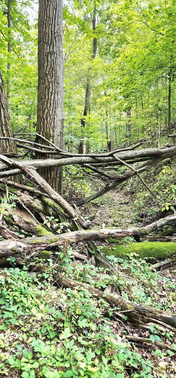 382331926_1716874182075401_1115390961557969834_n