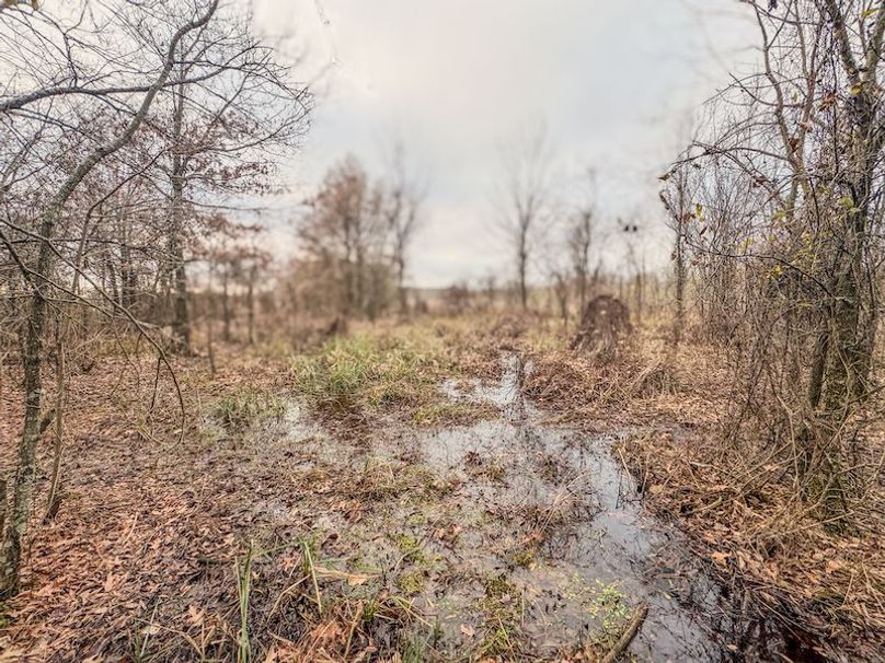 Monroe 80 Driver Dixon (Final Frontier) -07