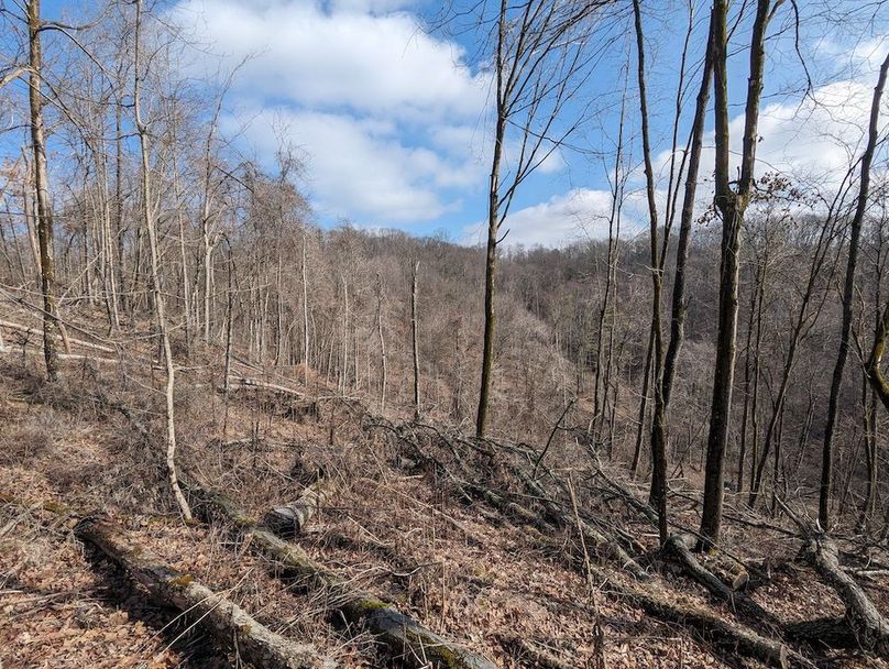 PXL_20240223_162443144