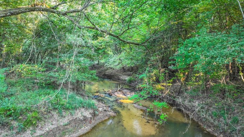 DJI_20250918082051_0137_D