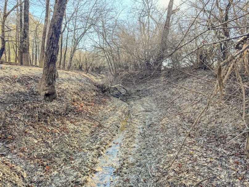 St. Francis 216.9 Calvin Parker Farms Profile -36