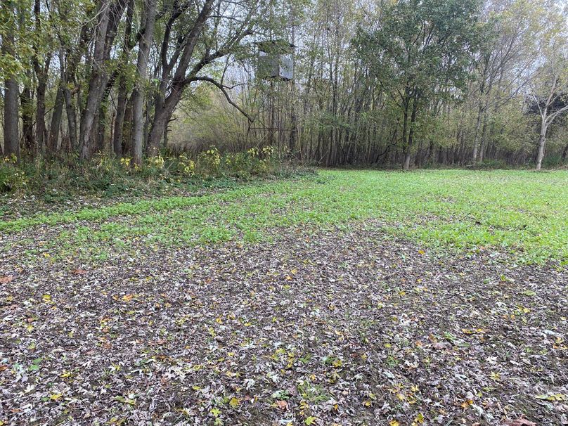 pics from late 2021 and early 2022. New plots being planted in Aug 2023 for new pics (76)