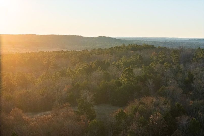 DJI_20260116075253_0016_D